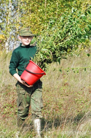 Фильм Заводите Люди Пчел