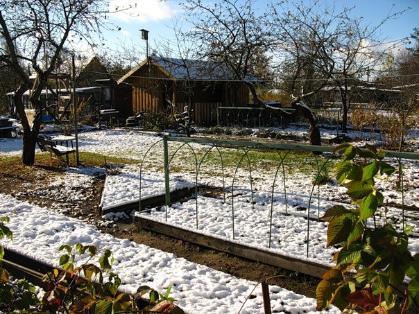 Фильм Посев Меданосов